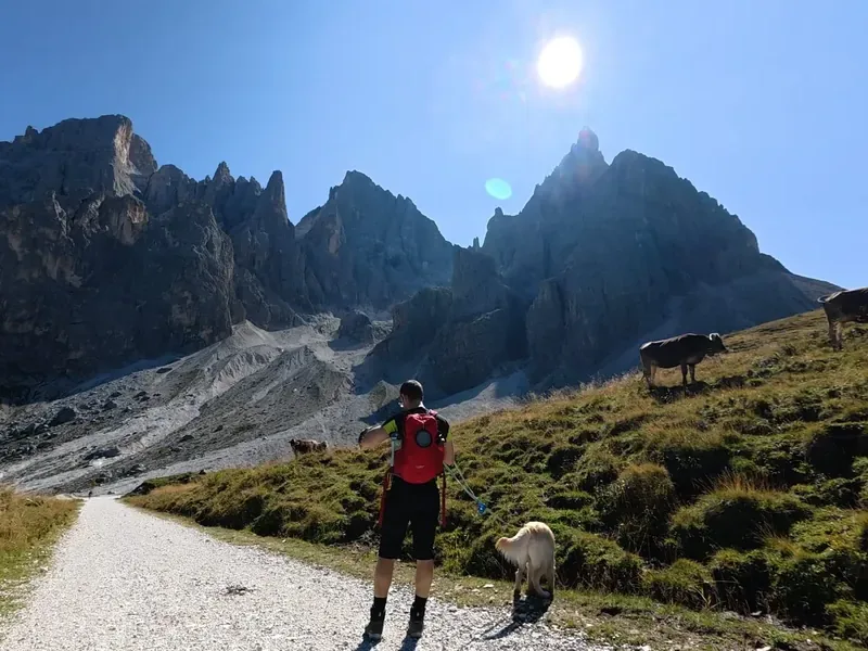 Giovanni con il suo cane su un sentiero di montagna, con le Pale di San Martino sullo sfondo