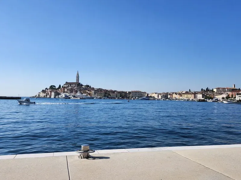 Rovigno vista dal mare